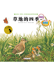 草地的四季