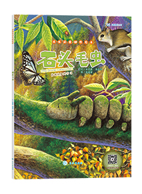 石头毛虫