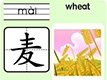 麦