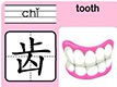 齿